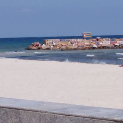 Hamzawi