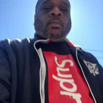 fly guy