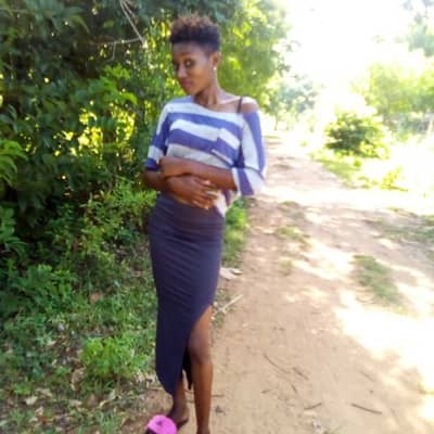 ully gambo