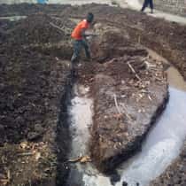 Opiyo