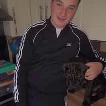 alfie