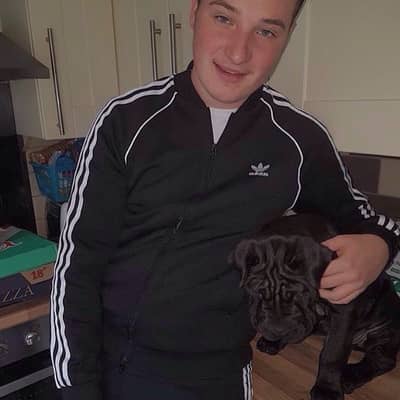 alfie
