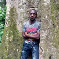 braxin