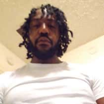 Mike 313