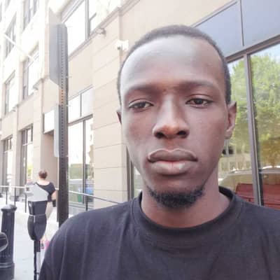 lamin