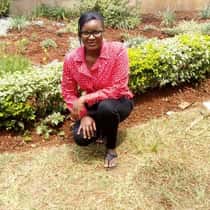 linet