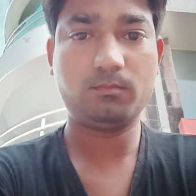 arif.malek