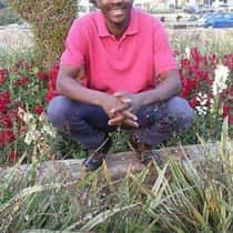 makal