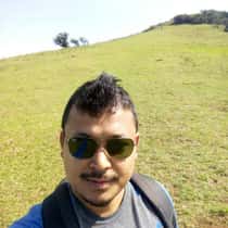 david