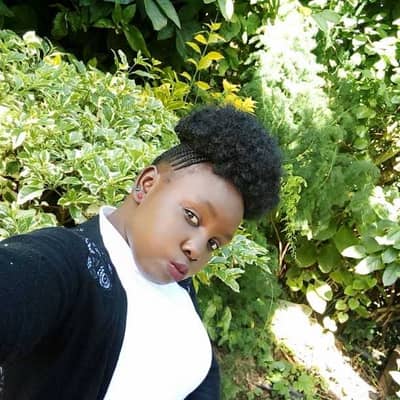Shaniz