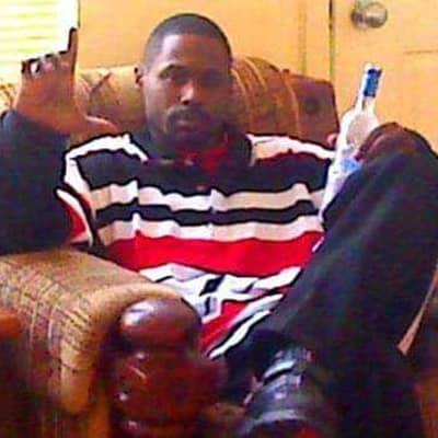 sugarbear
