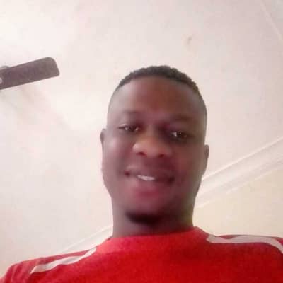 promise udoka