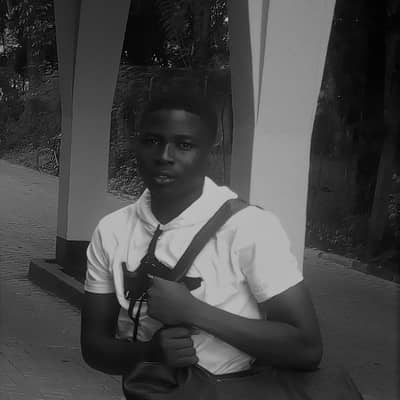 colly budz