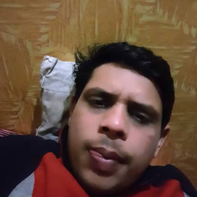shanky