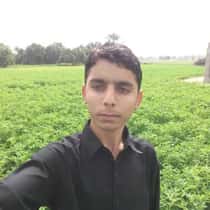 kamran