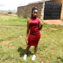 Shirix shii