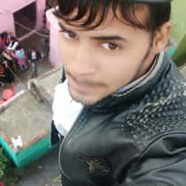 fazan