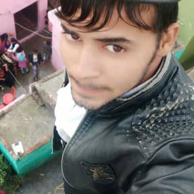 fazan
