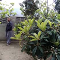 zid jan