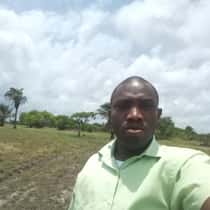 Ojeifo