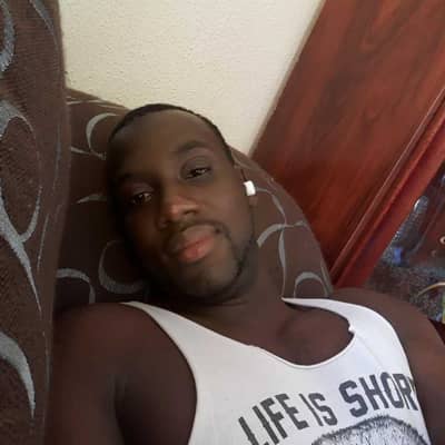 lamine