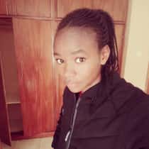 sammary