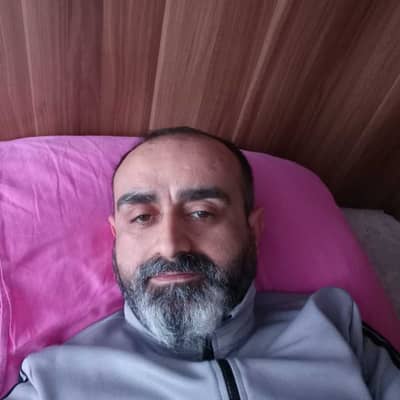 demir çelik