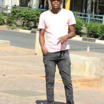 Mr Nice