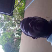 Stephen