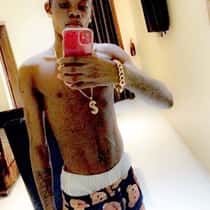 quizy bolly