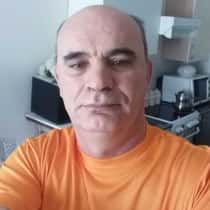 Vesel