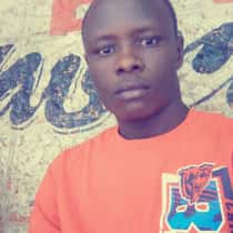 Festus