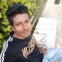 Gippy