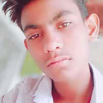 RAJ TIGER