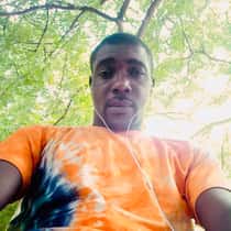 stevein