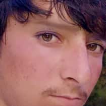 Arman