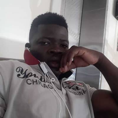 humble lion