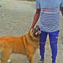 Olamide