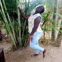 jossy