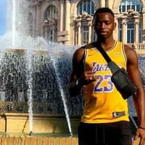 lamine