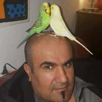 cancan