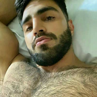 Demian