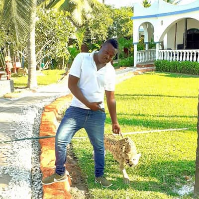 Mbaji mbogo