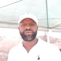ade adegoke