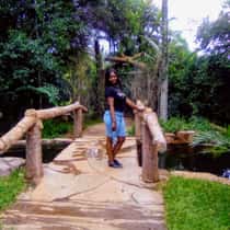 Iryn