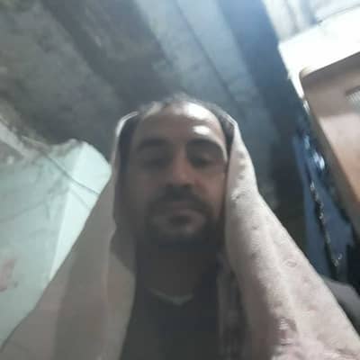 walid