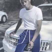 Terry 28