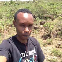 bazu