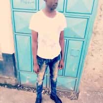 mollis