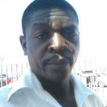 Alviny